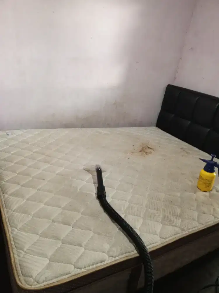 Jasa cuci kasur springbed sofa karpet jok mobil dll