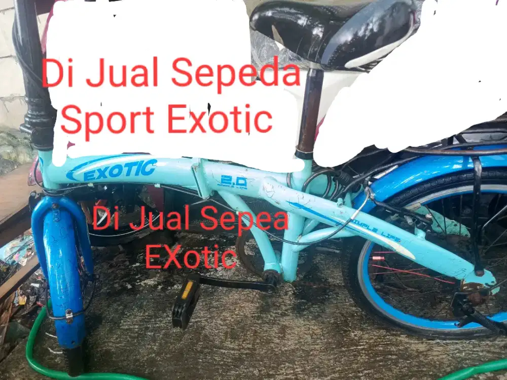 Sepeda Exotic Sporty