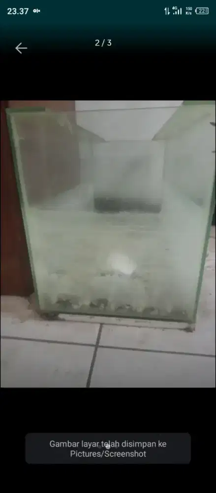 Di jual aquarium kaca bawah busa