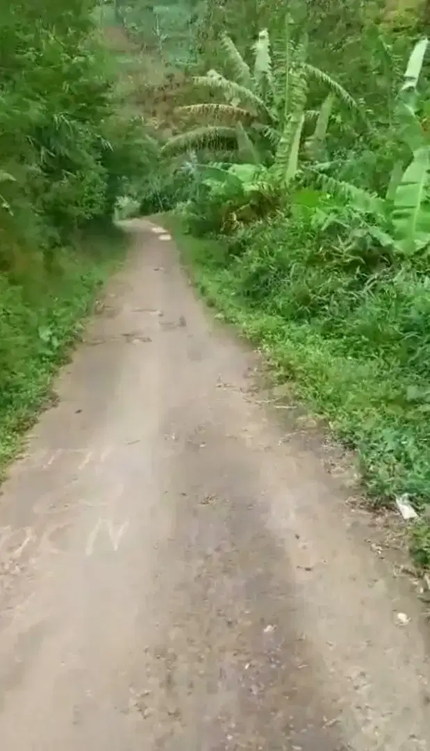 Tanah Murah di Ciambar sukabumi Buat peternakan