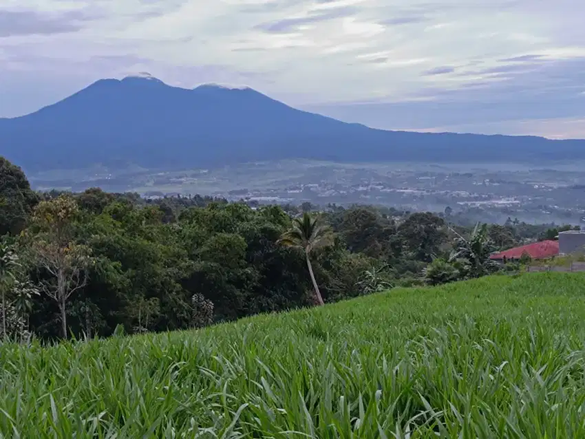 Tanah Di jual View Gunung salak Sejuk MDPL 750