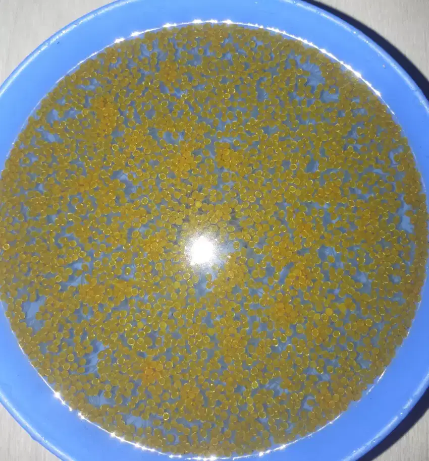 Telur ikan gurame padang