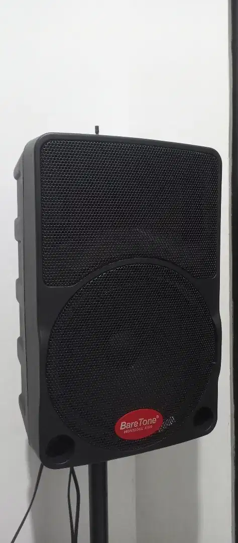 Speaker BareTone Max 10c