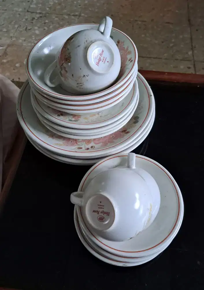 Vintage Dinner Set Hedge Rose