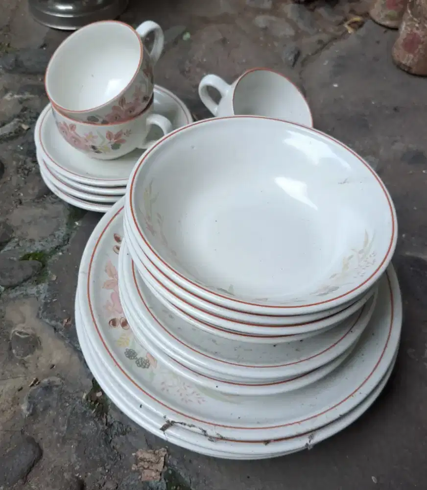 Vintage Dinner Set Hedge Rose