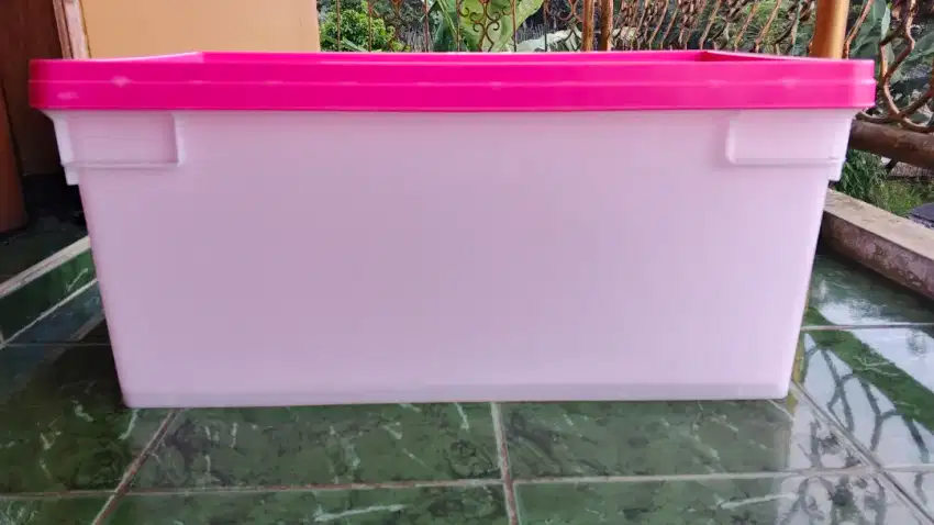 Box Container LION STAR