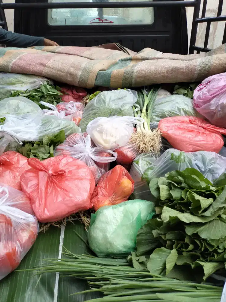 Supplier ( sayur & buah )