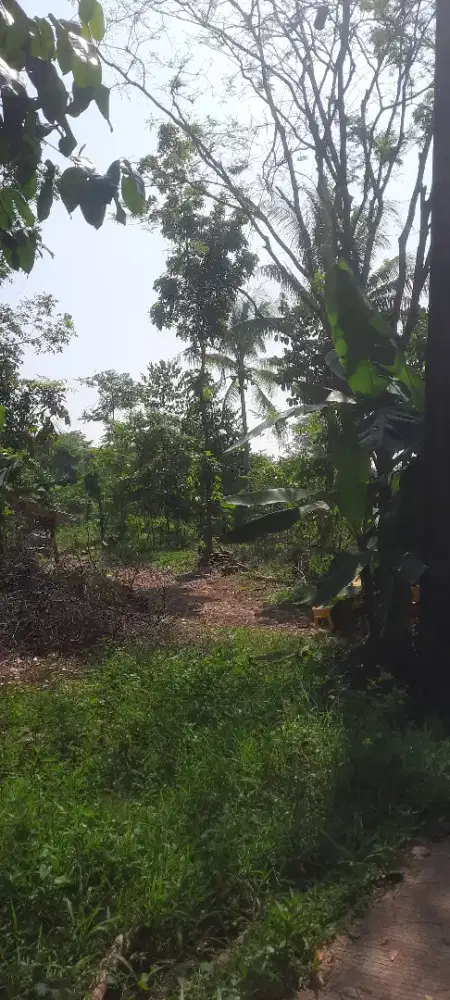 Dijual cepat dan murah tanah darat