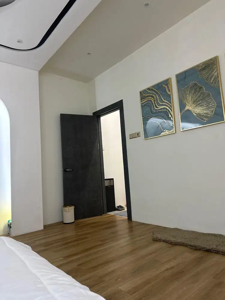 Di cari pengasuh/ penjaga kucing