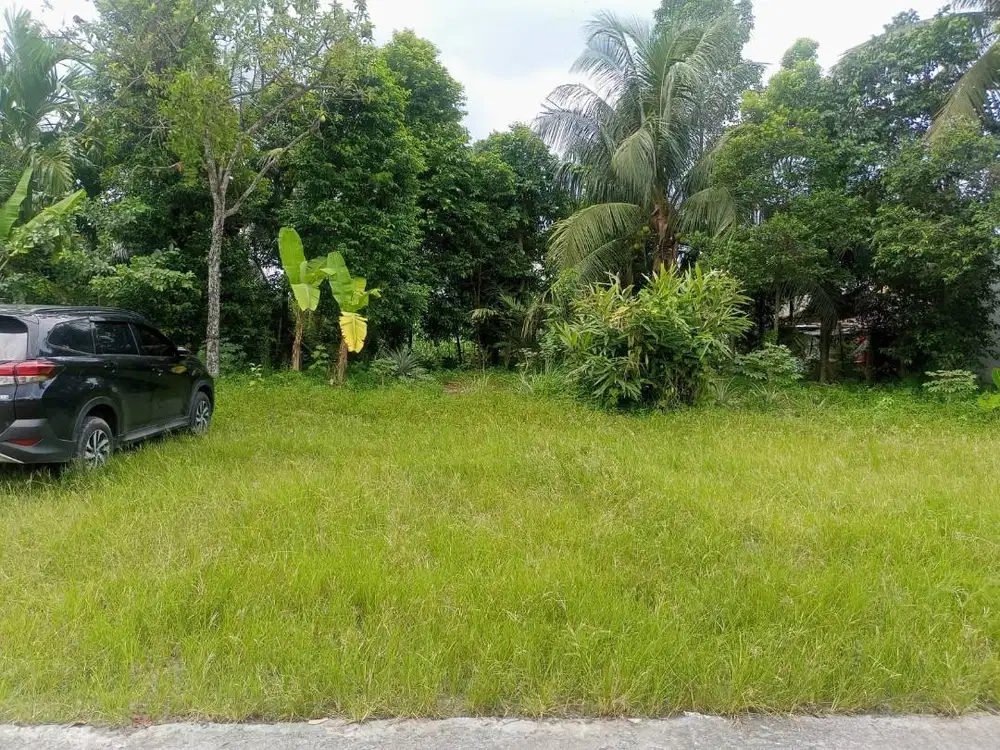 Dijual Tanah Kosong Cocok Untuk Bangun Rumah Baru