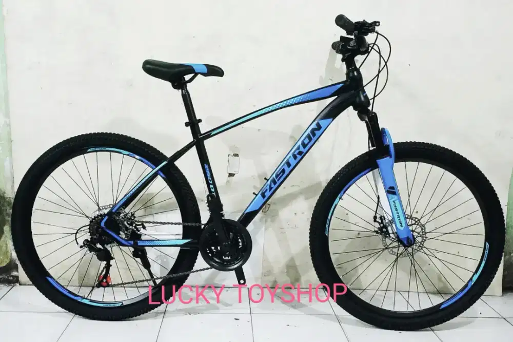 Sepeda gunung Mtb Fastron