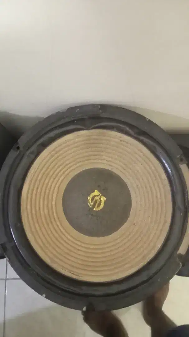 Pioneer speaker woofer 10inch hanya 1