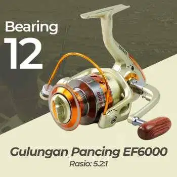Reel Pancing Spinning 12 Ball Bearing