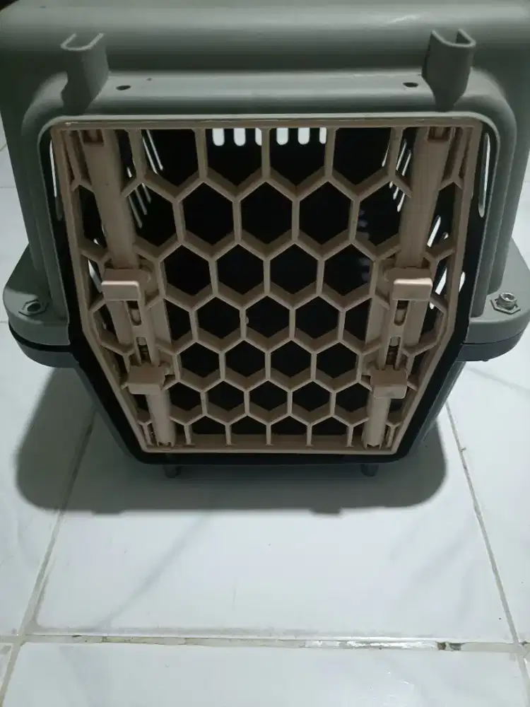 Pet cargo kucing