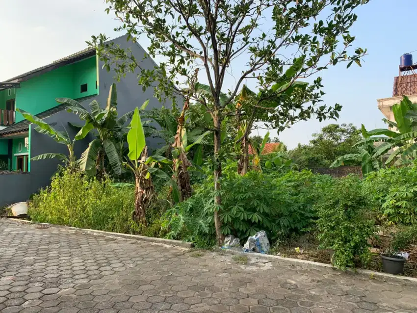 Murah jual tanah siap bagun cocok untuk kos di klentengsari tembalang