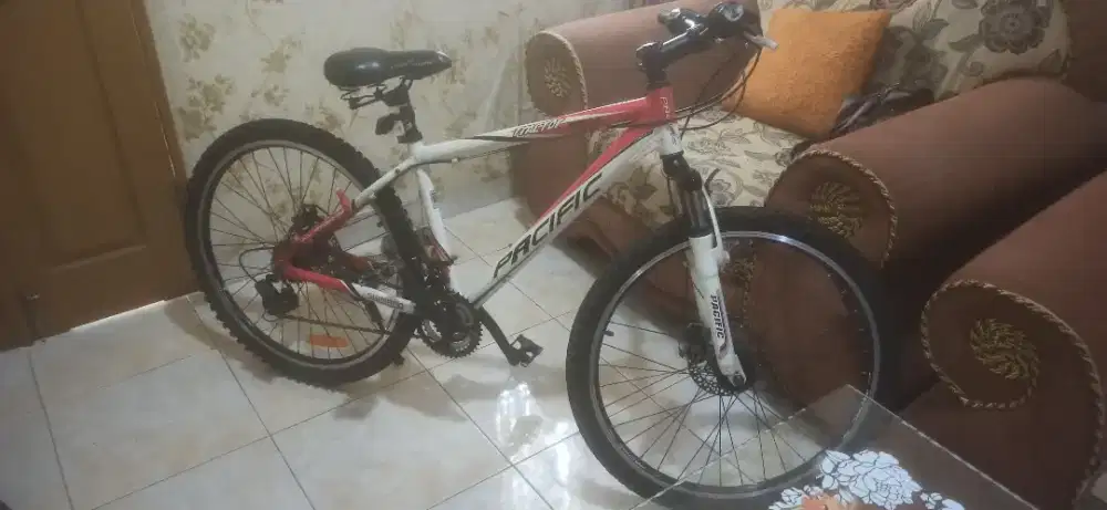 Sepeda Gunung Jalan Santai