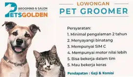 Lowongan Kerja Groomer Petshop Pontianak