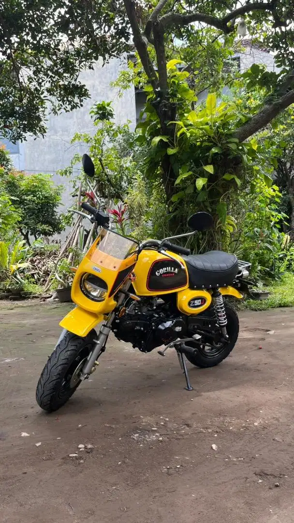 Gazgas Gorilla 2021 Full Paper