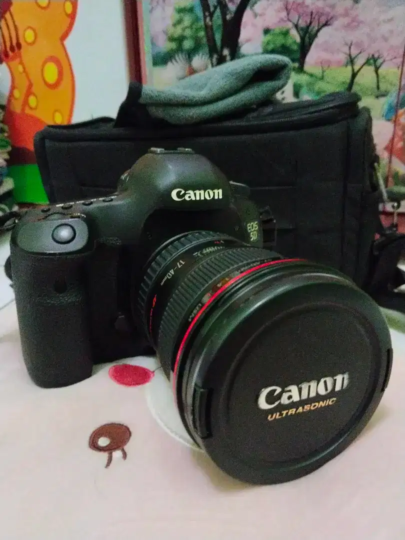 Canon 5D mark 3 + EF  17-40mm F.4