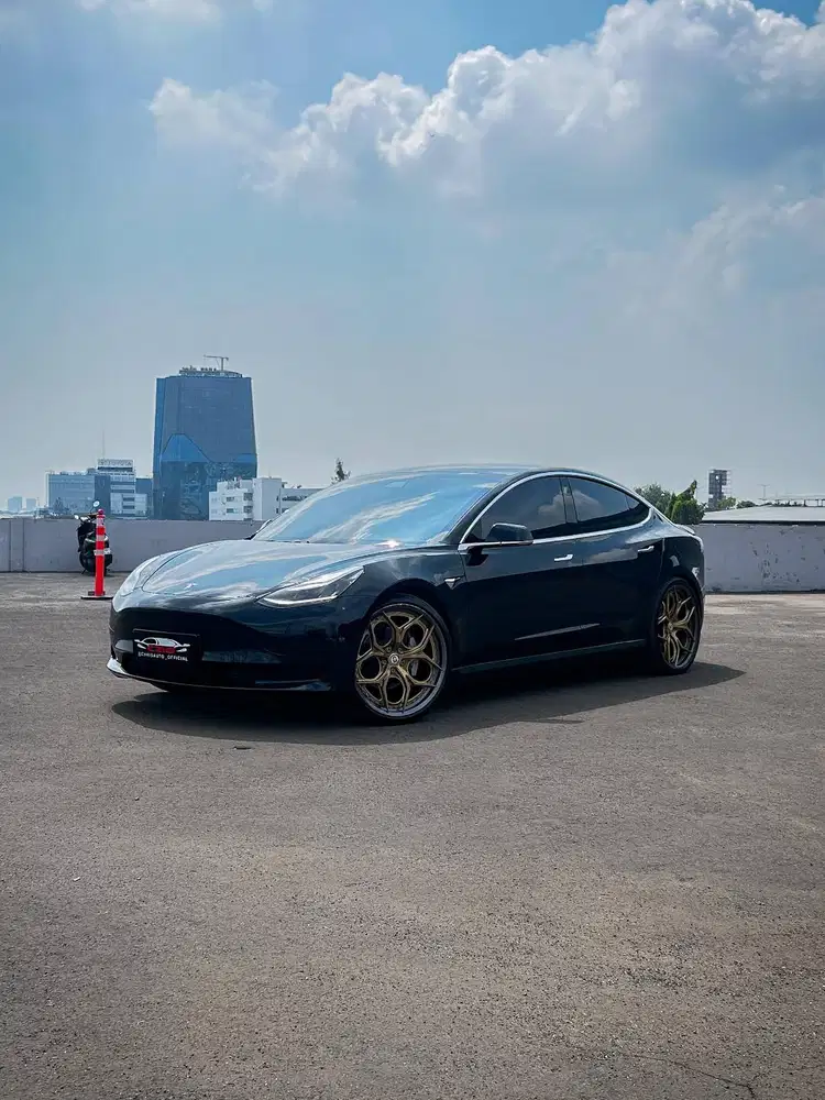 TESLA MODEL 3 LONG RANGE PERFOMANCE