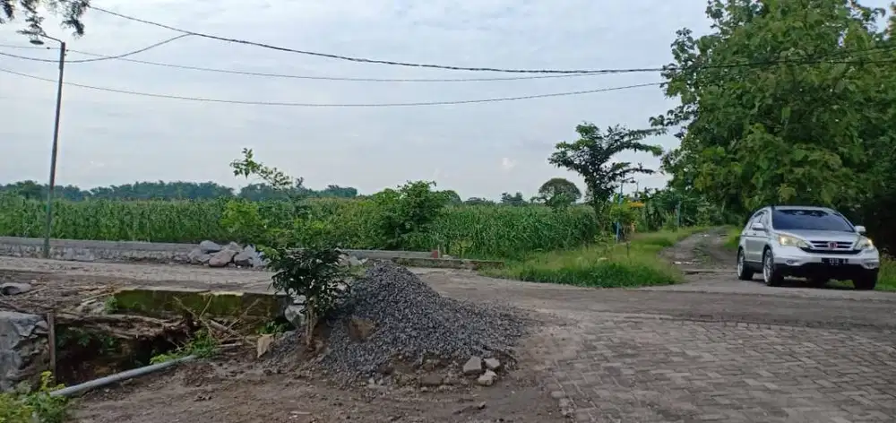Dijual Tanah Murah Jl Dusun Pilah Gresik Kedamean