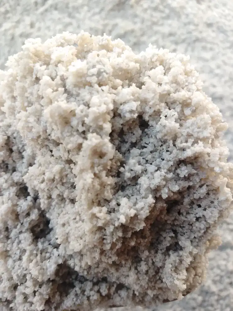 Pasir Bangka putih kasar