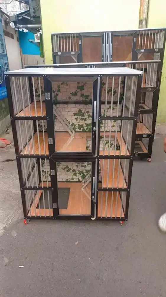 Kandang kucing 1221