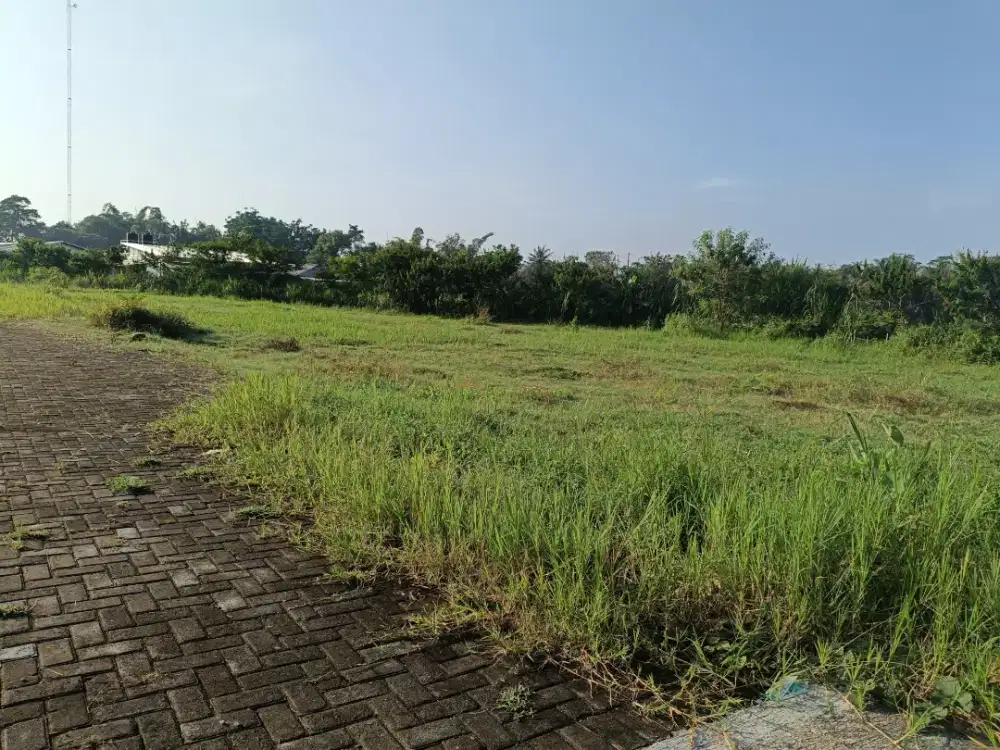 Dijual tanah SHM sawah cocok untuk villa View sawah dan merapi