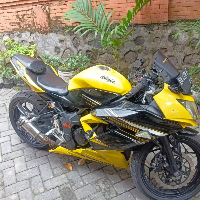 forsale ninja rr mono