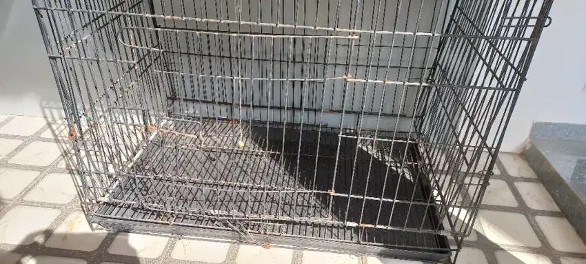 Jual kandang kucing bekas