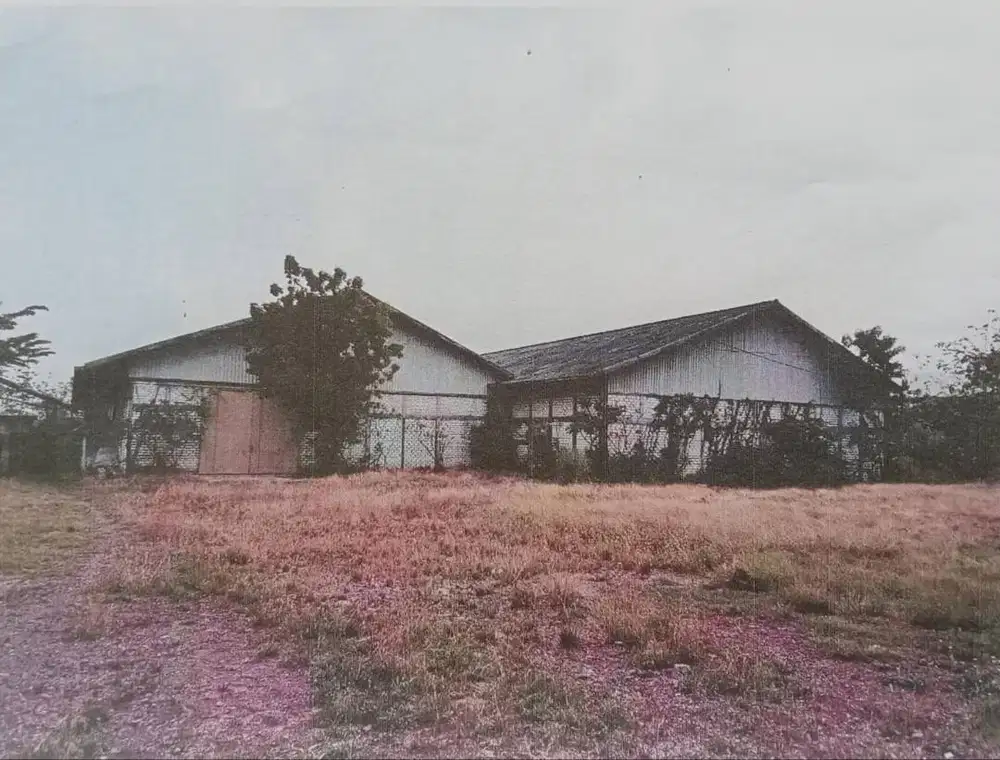 Dijual Tanah+Gudang SHM Tikung, Lamongan, Sebelah Pabrik Sepatu (VN)