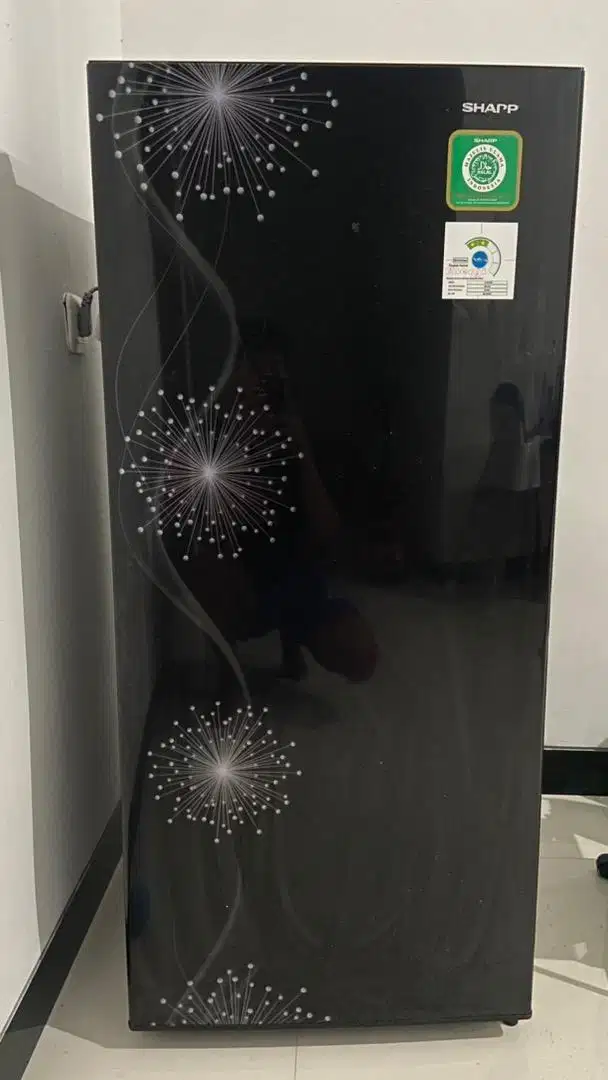 Kulkas sharp 1 pintu SJ-X167MG