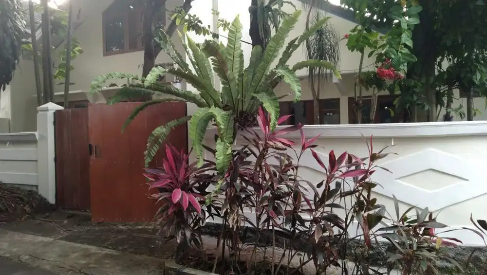 Dijual Cepat Rumah Area Kota Bogor