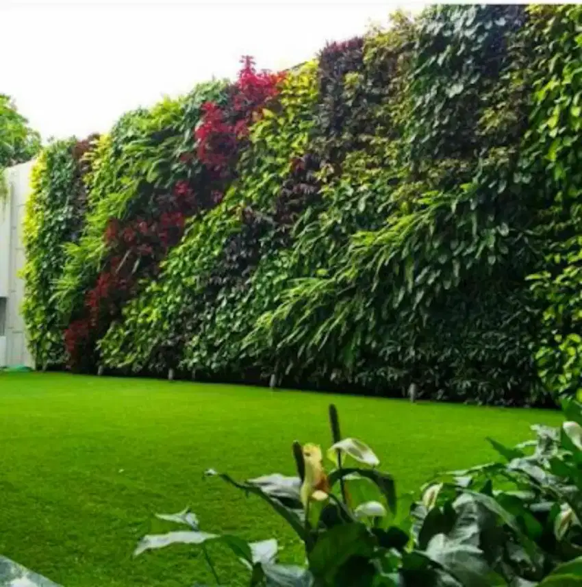 Jasa pembuatan taman vertical garden taman pertikal taman kering #6