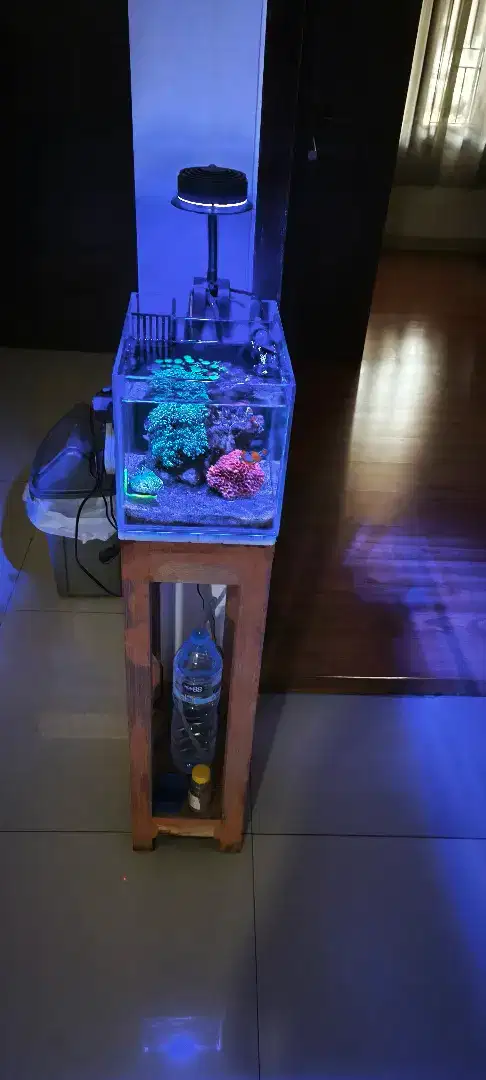 Jual aquarium laut full set mini semua serba mini uk.20x28
