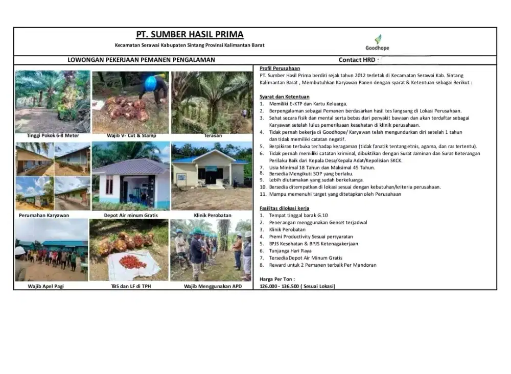 Lowongan kerja bisa sekeluarga pasangan suami istri ajak anak istri