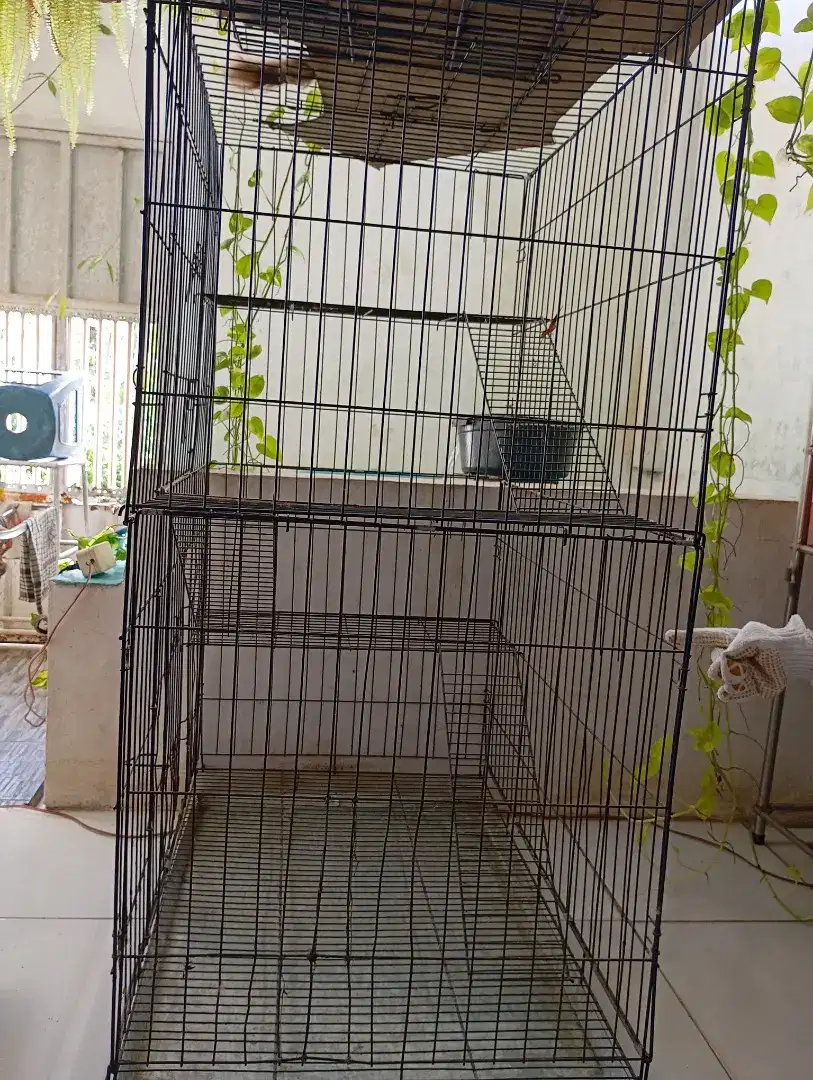Kandang Bekas Kucing