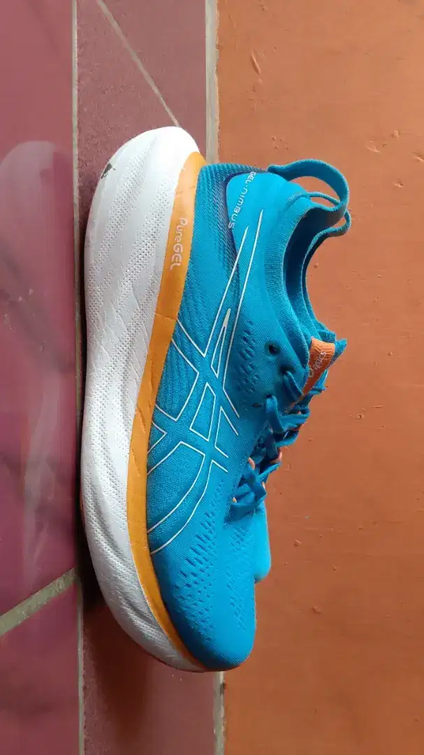 Asics Nimbus 25 Running shoes