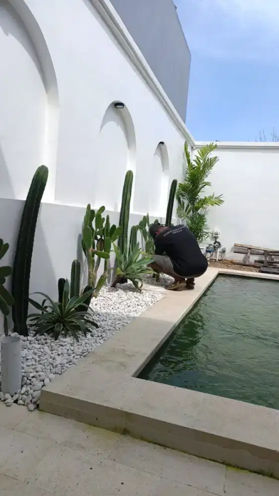 Pembuatan taman kering tropical