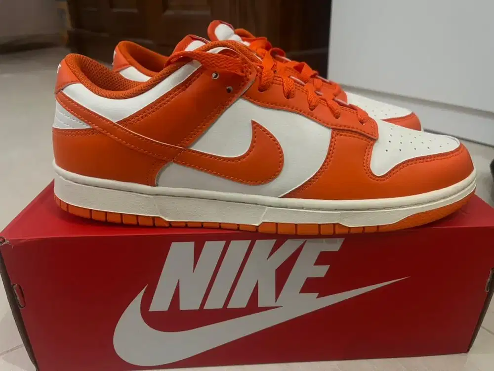 Nike Dunk Low BNIB size 45 (29 cm)