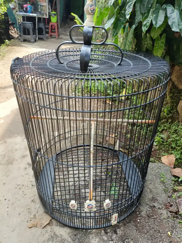 Kandang Ebod no 1 cat 90%asih bagus karna jarang pakai