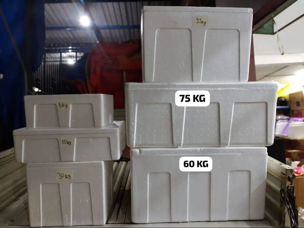 Box foam berbagai ukuran untuk penyimpanan froozen food