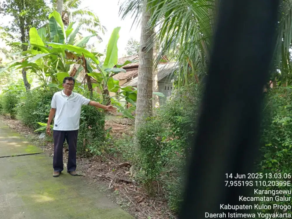 Jual tanah di Sewugalur dekat Masjid di sewugalur