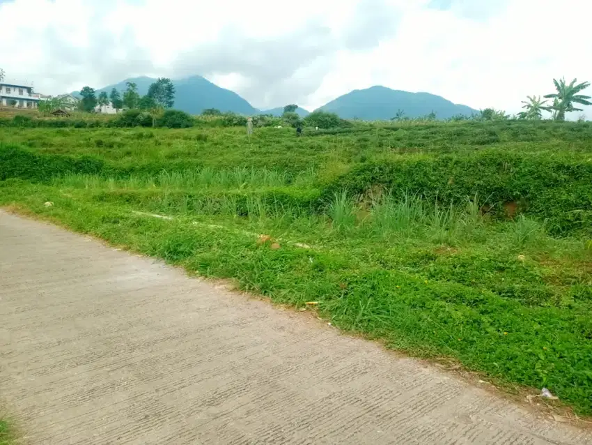 TANAH KEBUN PINGGIR JALAN DI CIMAUNG BANJARAN