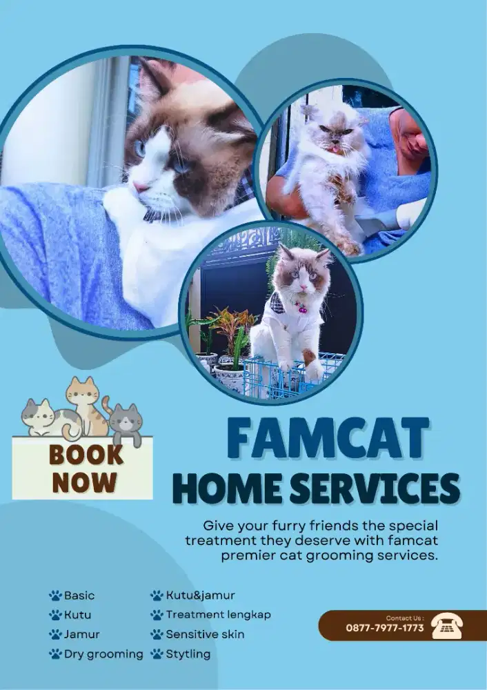 Home call grooming cat