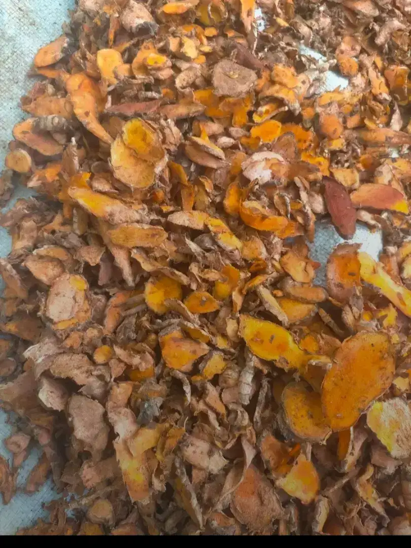Kunyit kering asli organii