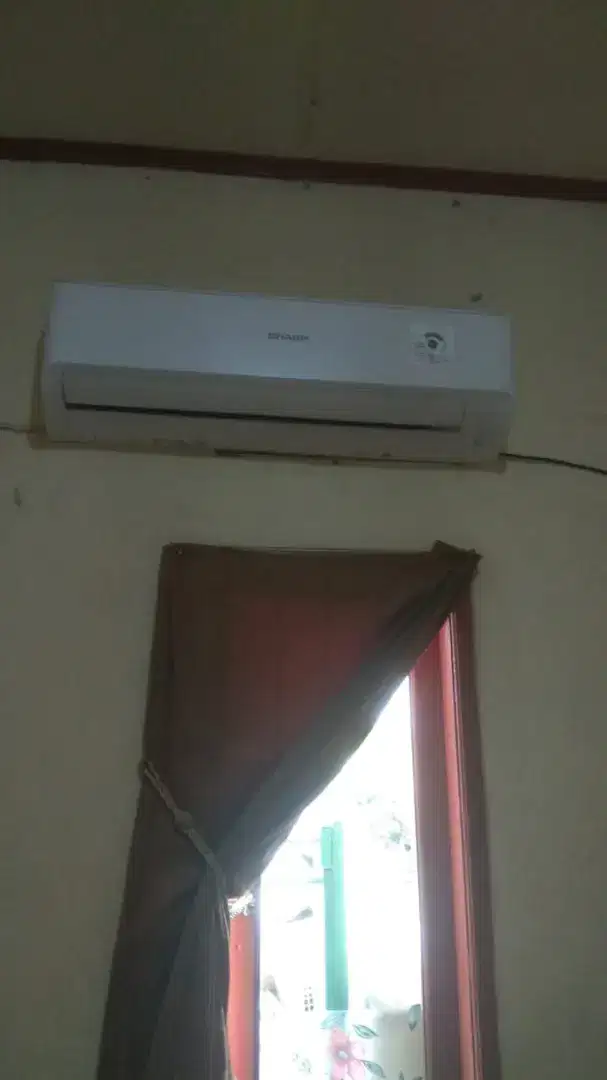 AC Sharp ½ PK R32
