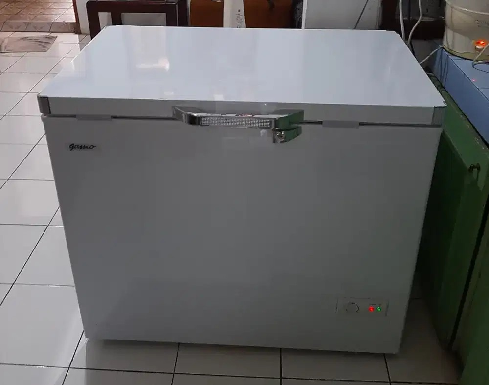 Freezer 200 liter Gassio