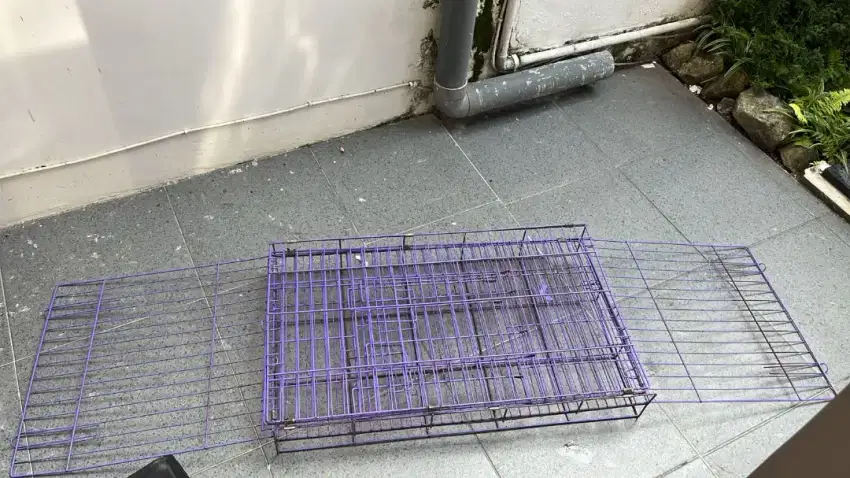 KANDANG KUCING ATAU ANJING