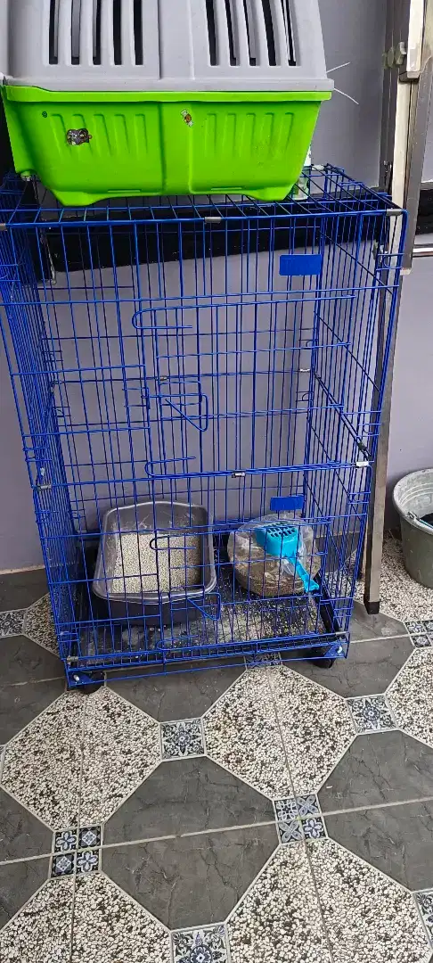 Di Jual Kandang Kucing
